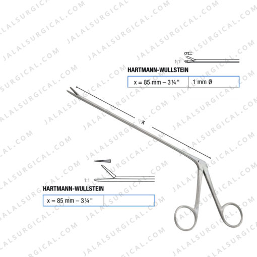 hartmann wullstein ear forceps