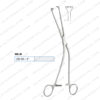 prostatic lobe holding forceps