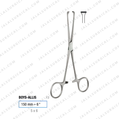 boys allis intestinal forceps