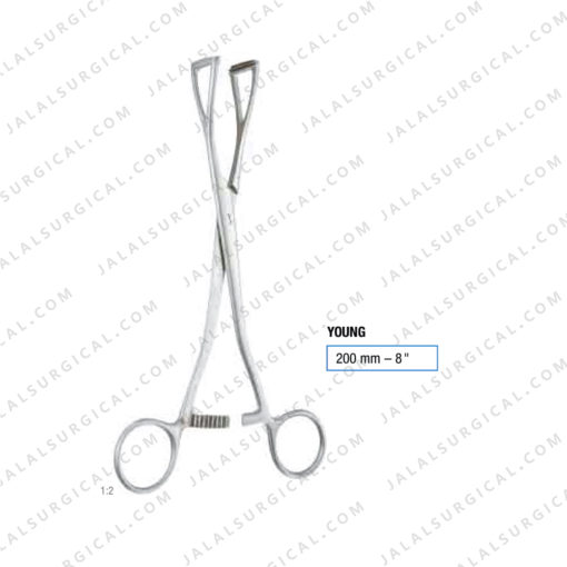 young prostatic holding lobe forceps