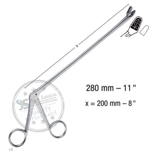 alexander biopsy forceps