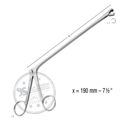 berger biopsy and specimen forceps