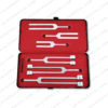 tuning fork kit