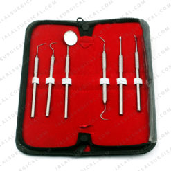dental scaler kit