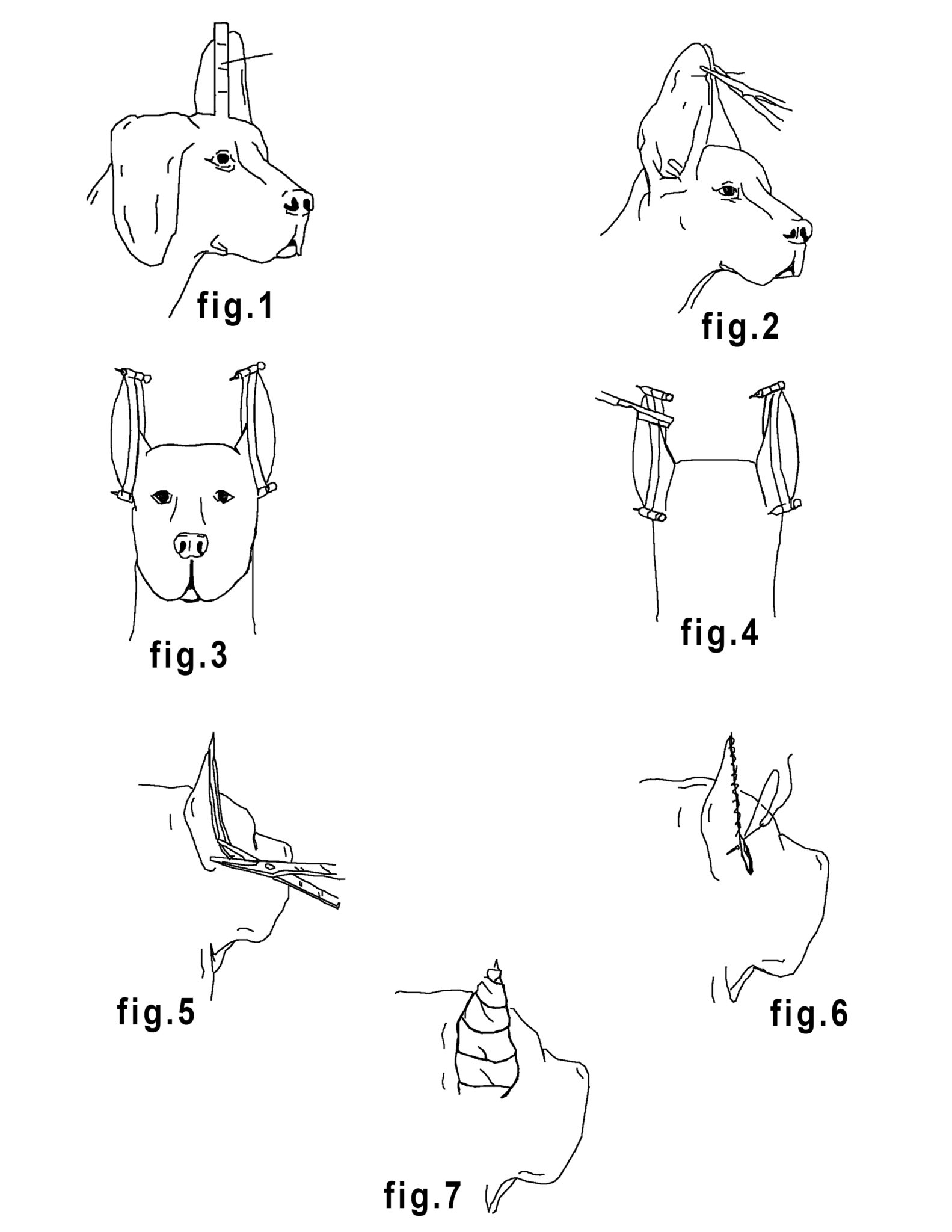 Instructions for Trimming Ears With Ear Cropping Clamps