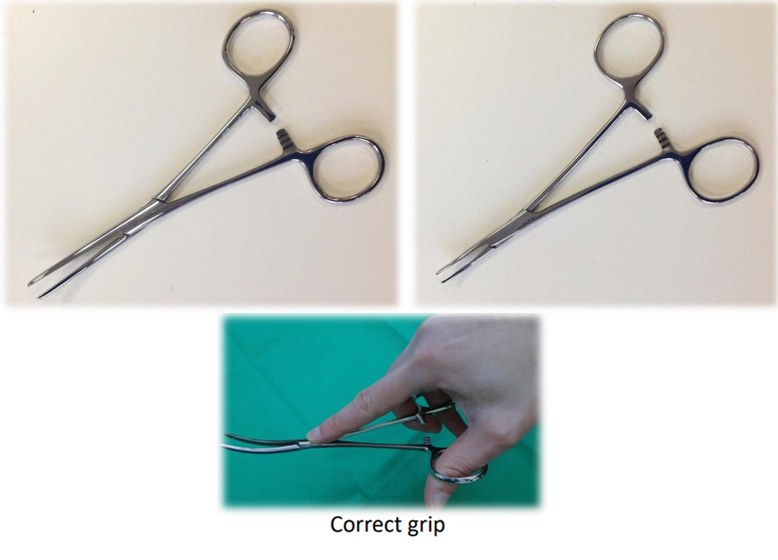 uses of artery forceps