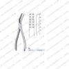 Semb bone Holding Forceps